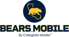 bears