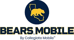 bears